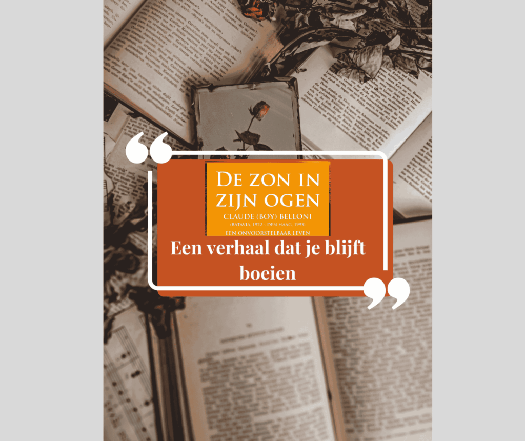 E-Boek De zon in zijn ogen